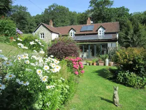 Spacious Studio in peaceful Devon smallholding - Image 2