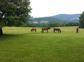 Secluded 160 Acre mountain top home - Image 3