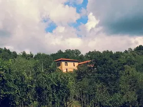 Cà Giulietto, an ancient farmhouse in the countryside - Image 3
