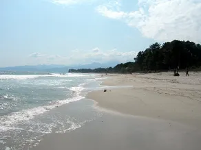 Beach Bungalow T.C - Image 2