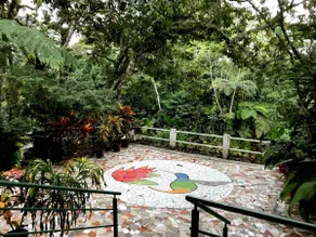 House by the river in the Amazon. Garden-Cotundo - Image 2