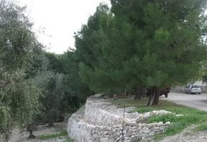 Gentile Farm - Vieste - - Image 5