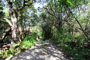 Rare Secluded 1940s Estate-Cool Blue Pool-Central location, by downtown, ACL, UT - Image 5