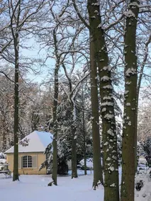 The house of squirrels - Image 2