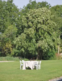 Groot Noordhof - Blue Heron - Image 2
