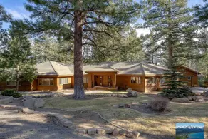 6000 sqft Pine House with indoor swimming pool - Image 3