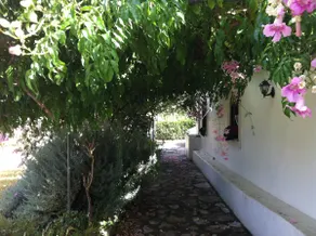 Toscana Experience in Portugal - Image 3