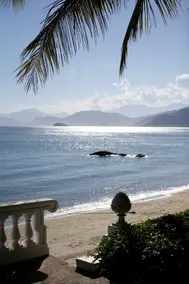 Island beach-front property - Image 4