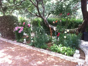 F3 RENTAL in VILLA ST-FLORENT - Image 4