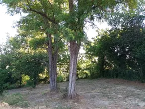 Studio apartment for 2 people between Rimini and San Marino - Image 3