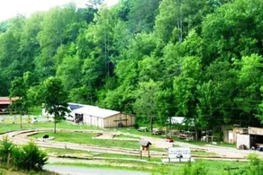 cozy mountain cabin near rafting, dog ok with fee - Image 5