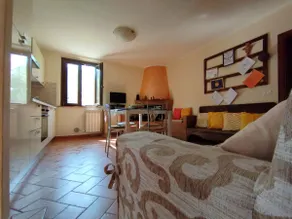The House Among the Olive Trees - Image 4
