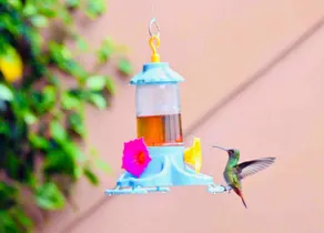 Hummingbird Loft · AC · Private Balcony - Image 3
