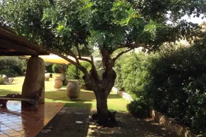 Villa Charlie ligger 100 m fra stranden i Porto Giunco - Image 5