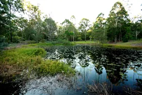 Kiwarrak Country Retreat - Image 5