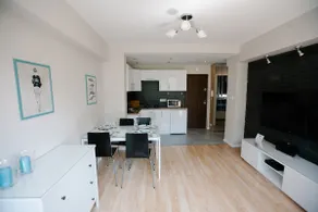 Warsaw Concierge Polin Apartment - Image 3