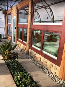 Sleeping in the greenhouse with great views - Image 5