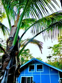 Big Island Cozy Sanctuary - Image 5