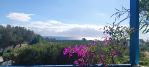 View of the Cretan sea and the sun - Image 3