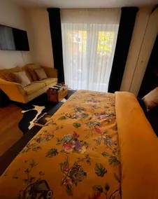 Beautiful cozy suite with free parking - Image 5