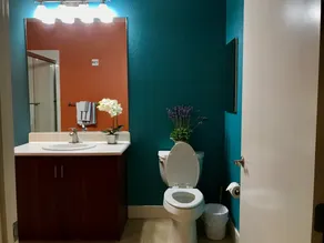 PA/MV 1 BR suite, XL Bath with private entrance - Image 3