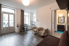 Lille Center/free parking/very quiet/air conditioning/A11 - Image 2