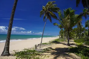 Village Praia do Forte - Complexo Iberostate - Image 4