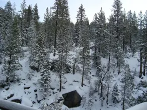 Cabin On The River - Image 5