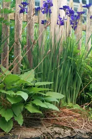 The Secret Garden Suite - Image 2