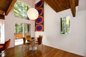 Architect cabin in the Redwoods - Image 4