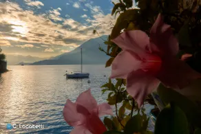 Apartment Varenna Dream - Image 2