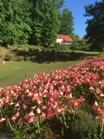 Scenic cottage on a farm - ”Annastasia's Retreat” - Image 2