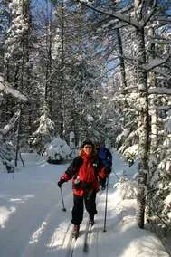 Au Sable River Getaway - Image 4