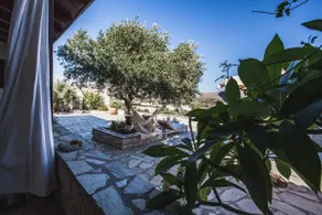 Quiet, charming country house. - Image 3