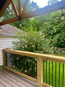 Downtown Stylish Farmhouse with Hot Tub! - Image 5