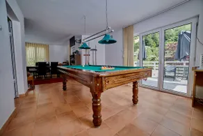 Relax in Transylvania at Ramet Mansion - Alba - Image 5