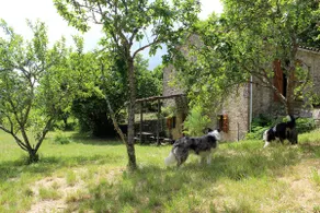 The Vineyard House - Image 3