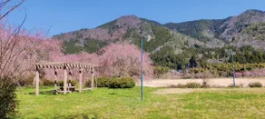 Kumonosou（Early Summer Limited: Firefly Tour Free） - Image 4