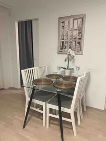 Modern city apartment with Sauna nearby the Airport - Image 4