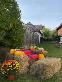 Grandma’s Cottage - Image 4