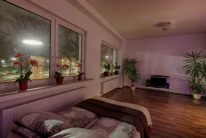 Top location - Image 4
