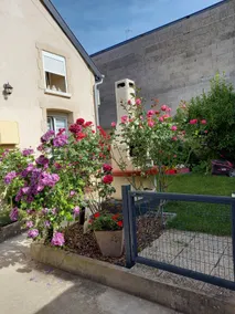 la petite Dameryate - Image 5