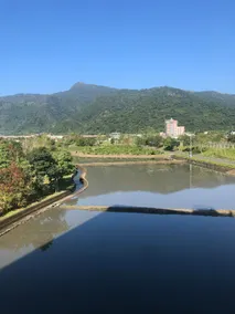 Private homestay, electric mahjong, unlimited karaoke, free parking, private pastoral view - Image 4