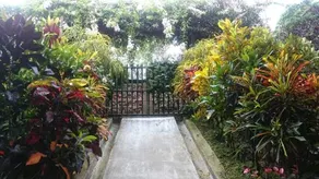 House by the river in the Amazon. Garden-Cotundo - Image 4