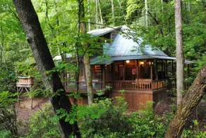 Ren's Nest, a place to be in the forest. NoWiFi. - Image 5