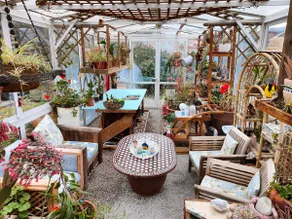 Casita surf de amor - a refuge in a coastal garden - Image 4