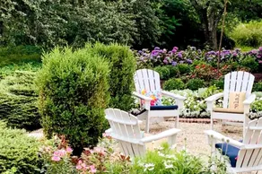 Wild Rose Farm -Three Queen Suites - Image 2
