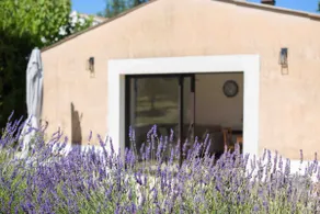 La Petite Ruche, 1 bedroom Gite in the Luberon - Image 3