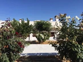 Extremadura farmhouse in pasture - Image 5