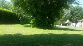 Family-friendly country house - Image 2